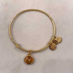 Alex and Ani Charm Bangle